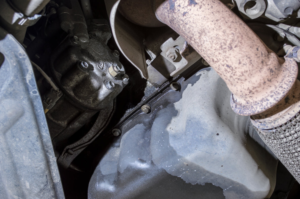 Sump Gasket Replacement Service | Lohen MINI