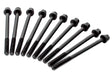 Ajusa Large Head Bolts for Gen 1 MINI | Lohen MINI