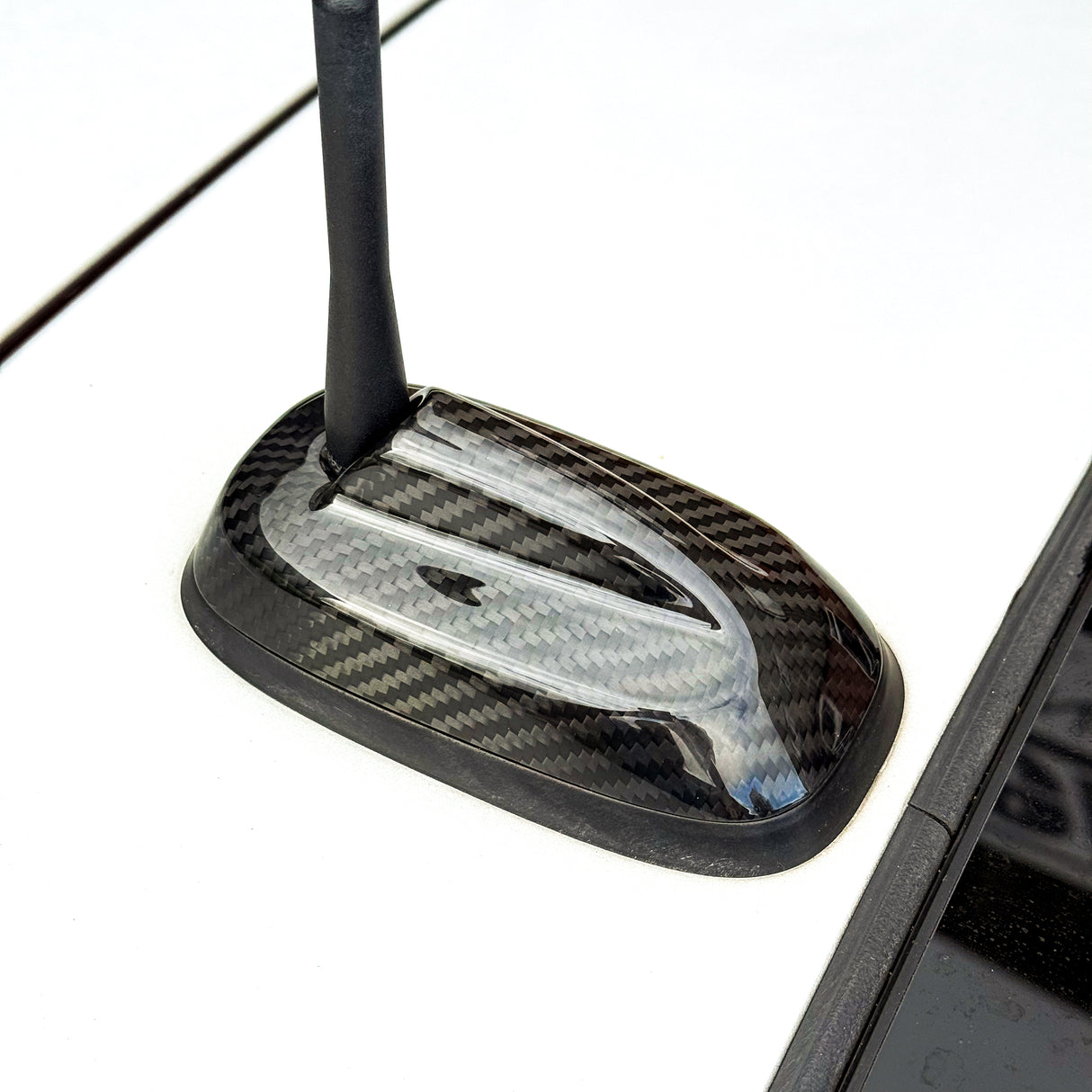 Shadow6 Carbon Antenna - F55/F56 (2013-2023)