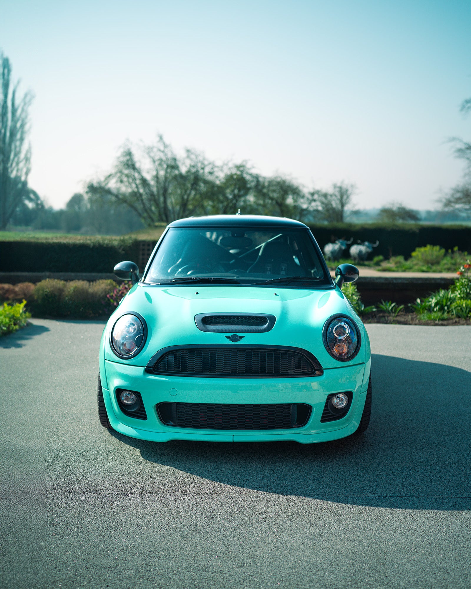 Mint Green MINI R56 with roll cage and cobra seats