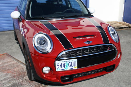 CravenSpeed Platypus Pro-Series License Plate Mount - Gen 3 | Lohen MINI
