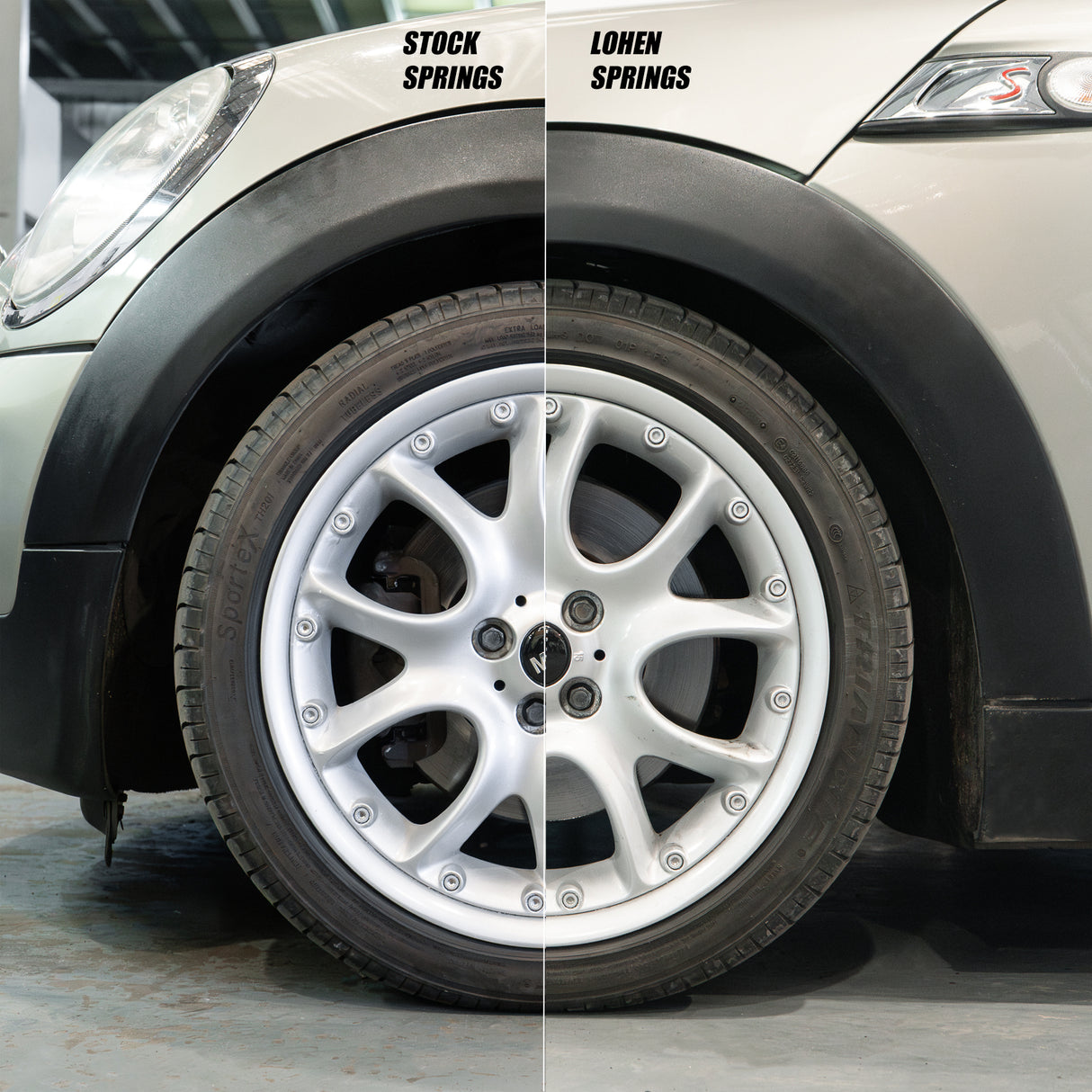Lohen Lowering Springs for MINI Gen 1, 2 and 3