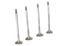 Supertech Inconel Performance Exhaust Valves For MINI B48 Engines